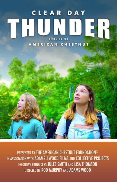 Clear Day Thunder: Rescuing the American Chestnut / Film Screening and Q&A