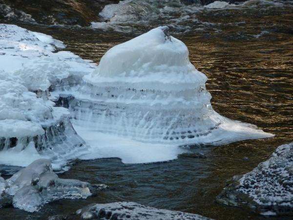 Cathance River Preserve Snowshoe or Hike - GMOW
