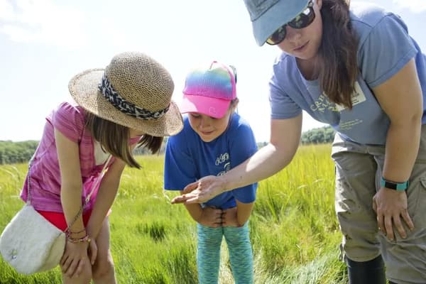 Family Nature Walk: Mummichugs and Marsh Muck