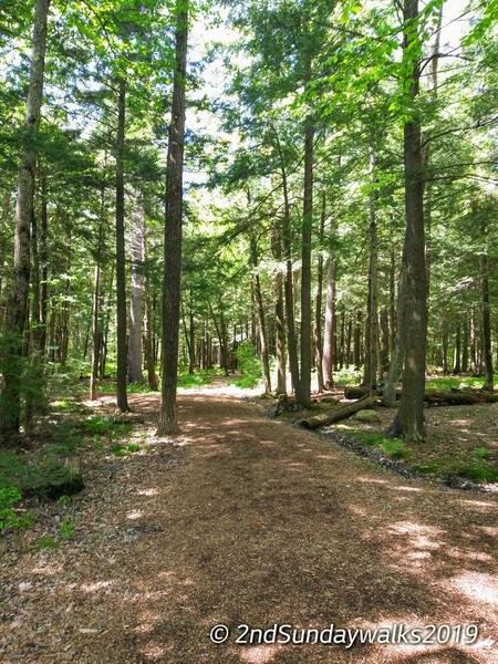 Second Sunday Nature Walks: Kineowatha Park