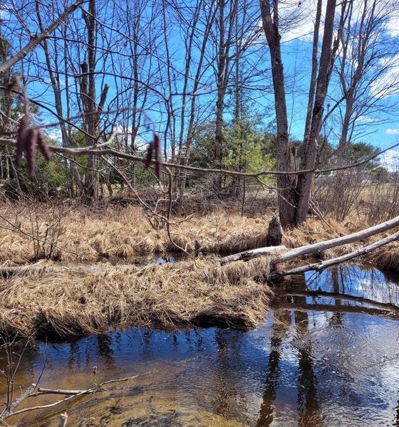 Vernal Pool Nature Walk