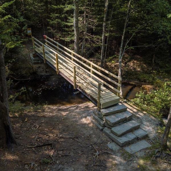 Horton Woods Work/Walk Party