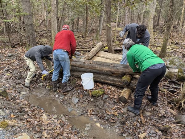 Trail Work Day - Bangor Land Trust