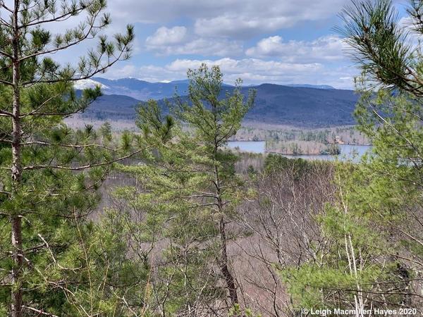 Virtual Earth Day Hike: Amos Mountain