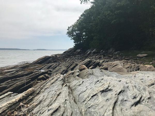Mammals of Maine