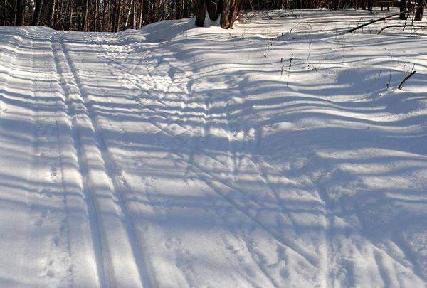Bancroft & Broomhall Ski Race