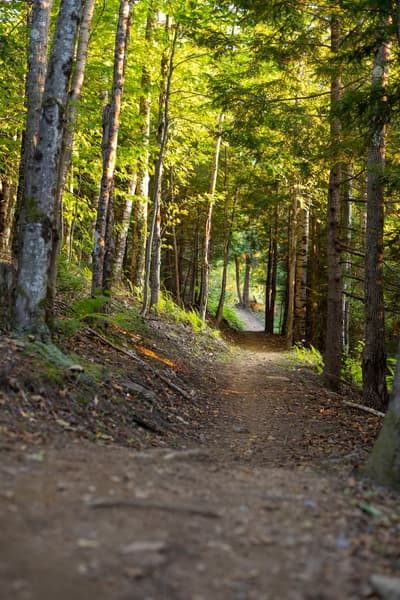 Fundamentals of Trail Design & Maintenance