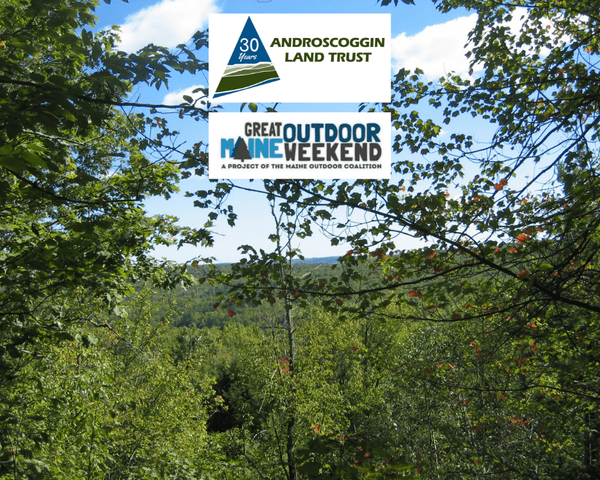 Explore ALT Nature Walk: Marden-Chittick Refuge