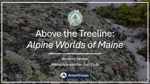 Above the Treeline: Alpine Worlds of Maine @ Stratton Brook Hut