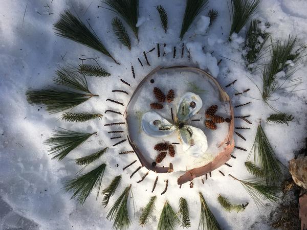 Learning with Nature: Zoom Session for Families Remote Learning
