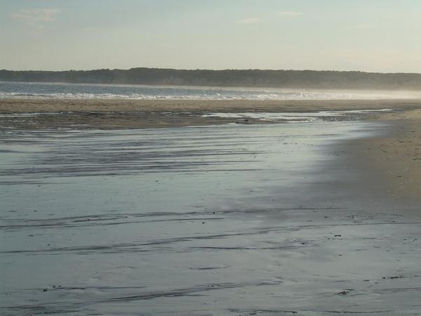 Beach Clean-up & Happy Hour