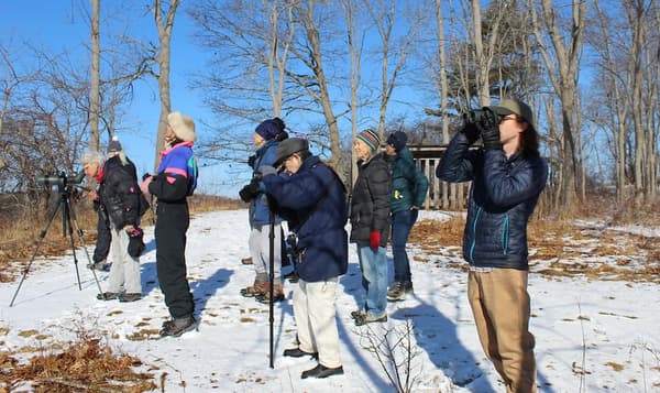 Weekly Bird Walk