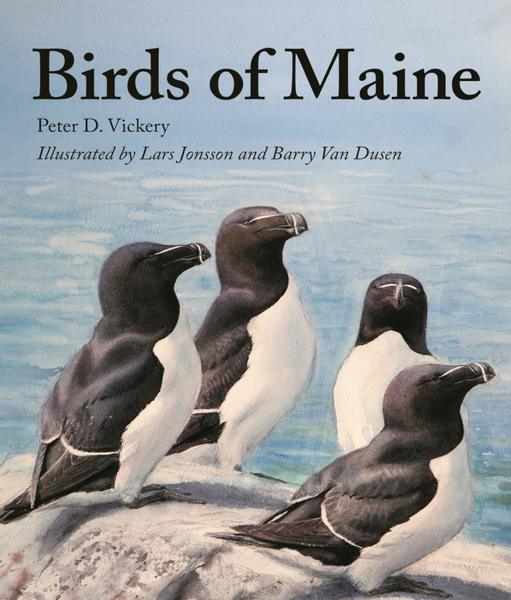 Birds of Maine Book Launch