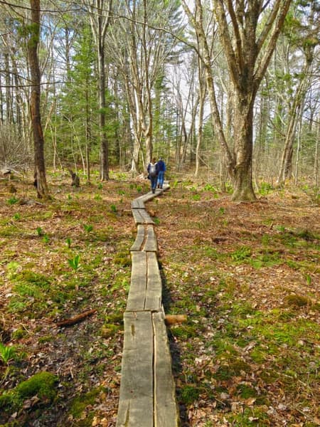 Monthly Women's Walk hosted by Scarborough Land Trust