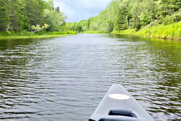 Paddling on the Narraguagas