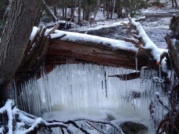 Cathance River Preserve Snowshoe or Hike - GMOW