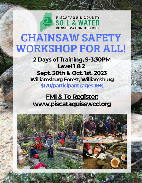 Chainsaw Safety