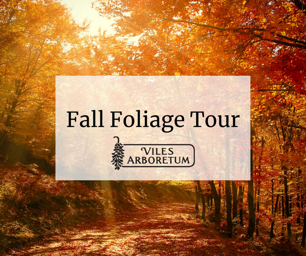 Fall Foliage Tour