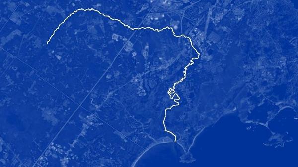 Summer Water Series Session 2 - Marshlands