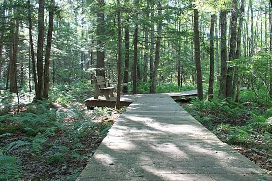 October Work/Walk Party at Ferry Landing Trail