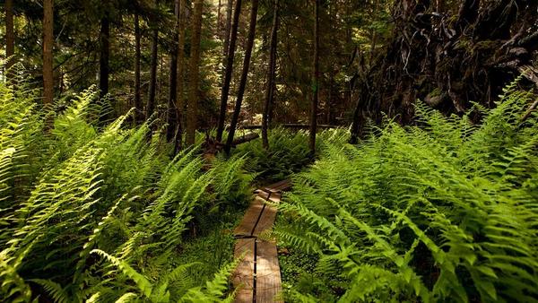 Brush with Nature Plein Air Painting Days