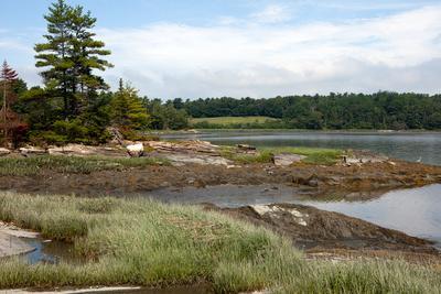 Hamilton Audubon Sanctuary Stewardship Work Day