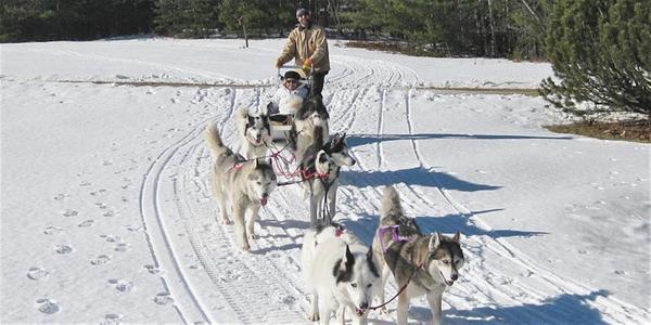 Winter Fun Day at Hirundo
