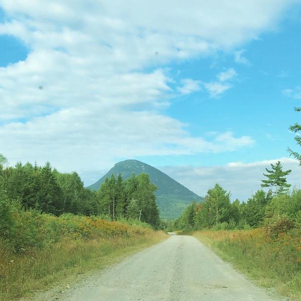 Big Spencer Mountain Stewardship Day