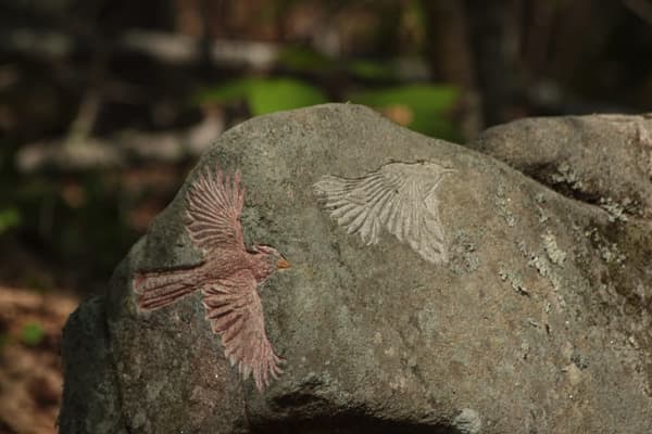 Contemporary Petroglyph (Rock Carving) Tour Led by Artist