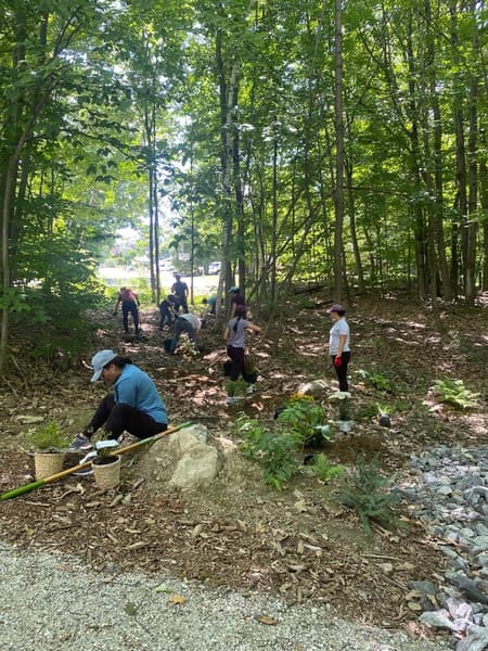 Sherwood Forest  Trail Day