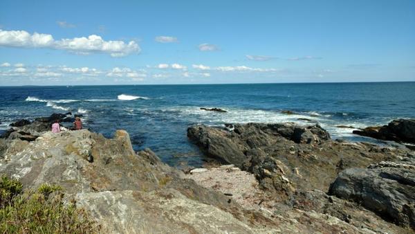 Tidepooling at Trundy Point
