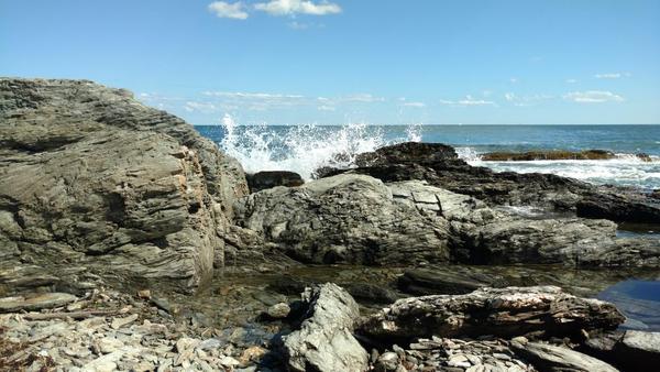 Tidepooling at Trundy Point