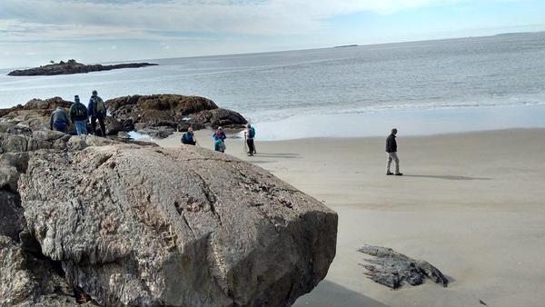 Hermit Island Hike