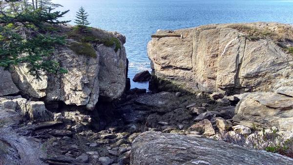 Hermit Island Hike