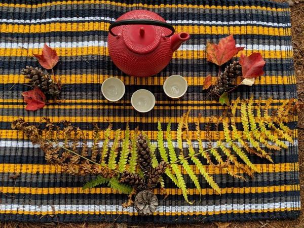 Celebrating the Long Days of Summer Forest Bathing/Forest Therapy Guided Walk