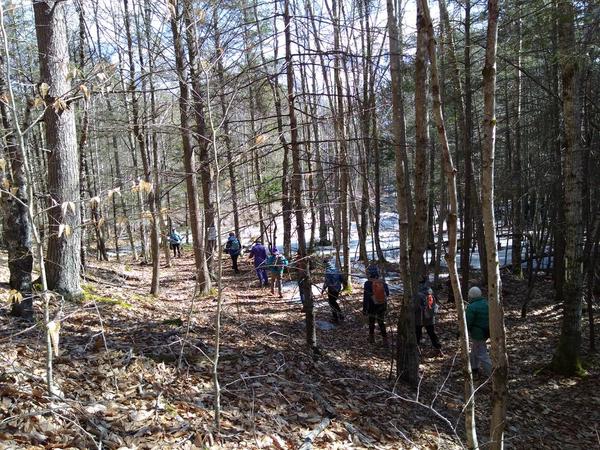 Lilly Pond Community Forest Earth Day Hike