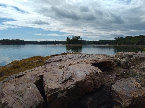 Woodward Point Preserve Hike or Snowshoe