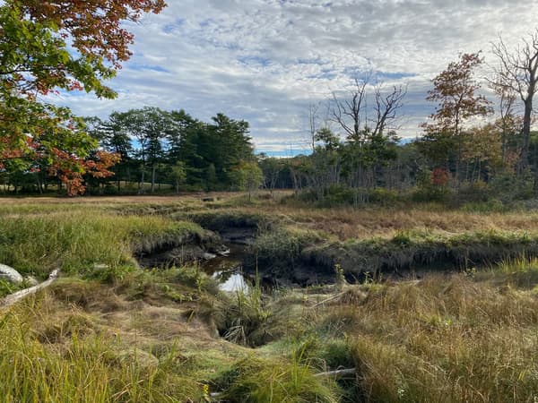 Coastal Rivers Trail Tamers Workday