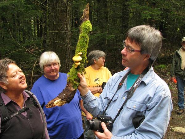 Mushroom ID & Foraging Workshop