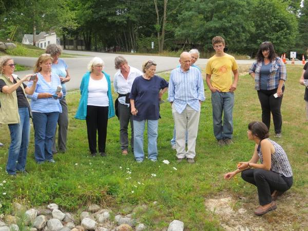 Medicinal Plants Workshop
