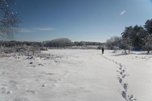 Snowshoe Tour of Pleasant Hill