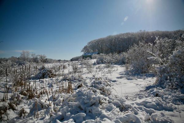 Contemplative Winter Walk