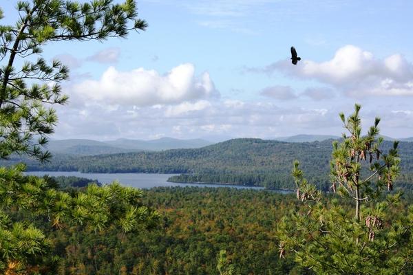 Earth Day Hike