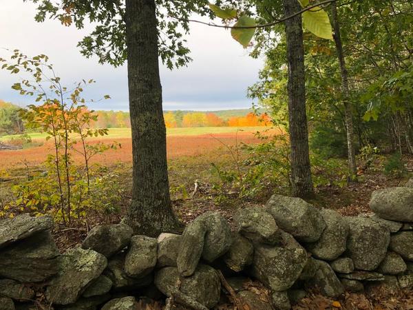 Wildlife Habitat Tour