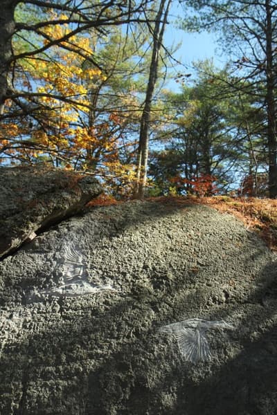 Contemporary Petroglyph (Rock Carving) Tour Led by Artist