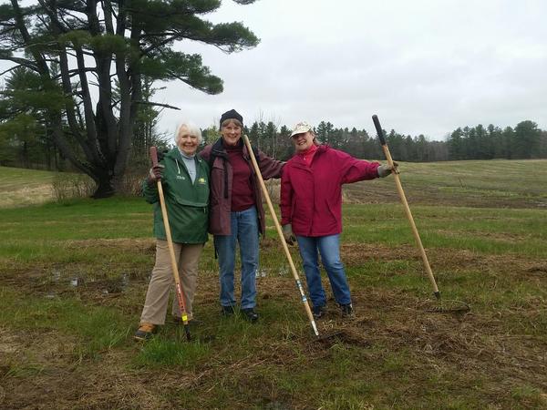 Invasive Removal Work Day