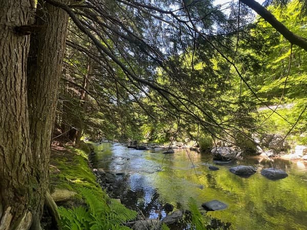 Royal River Conservation Trust - New Trail Building!