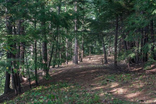 Long Creek Trail Project