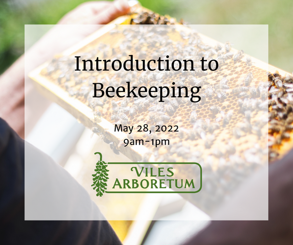 Introduction to Beekeeping