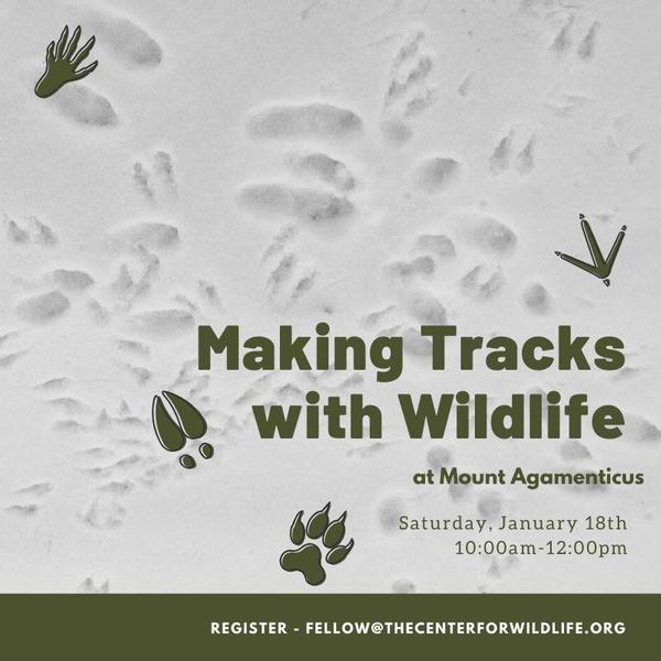 Making Tracks with Wildlife